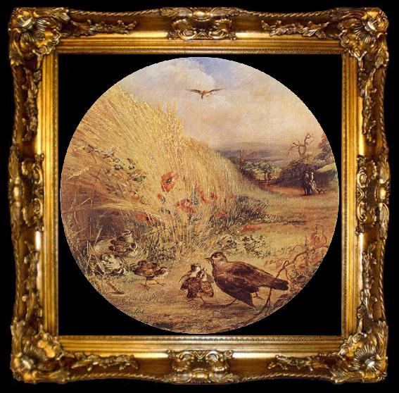 framed  William Dexter Wheatfield with bird-s nest, ta009-2