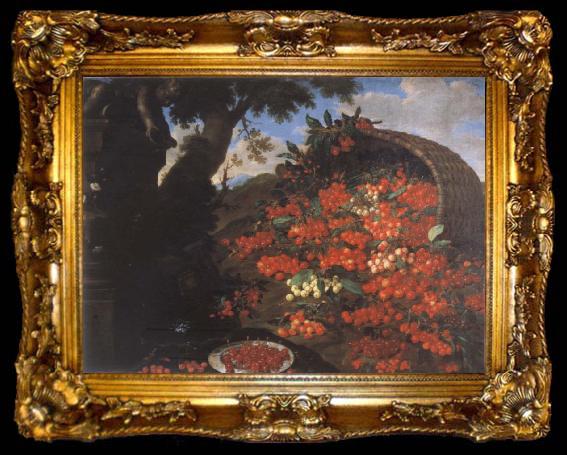 framed  Bartolomeo Bimbi Cherries, ta009-2