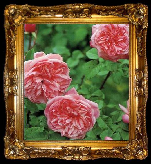framed  unknow artist Still life floral, all kinds of reality flowers oil painting  321, ta009-2