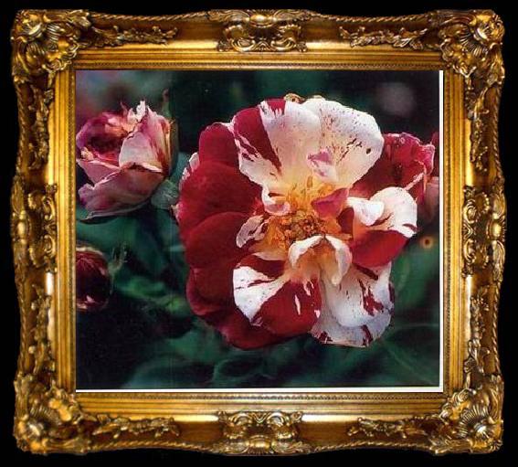 framed  unknow artist Still life floral, all kinds of reality flowers oil painting  127, ta009-2