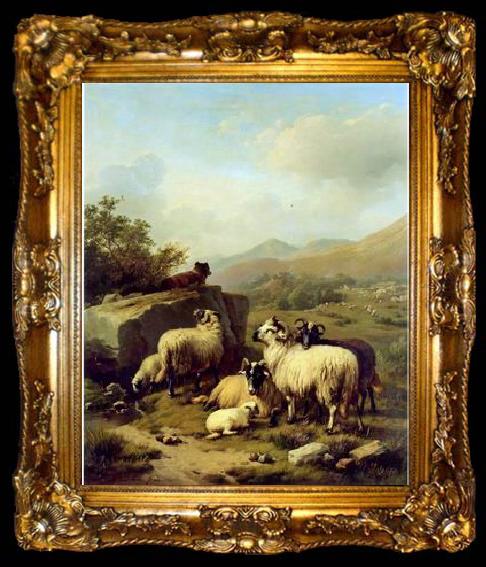 framed  unknow artist Sheep 083, ta009-2
