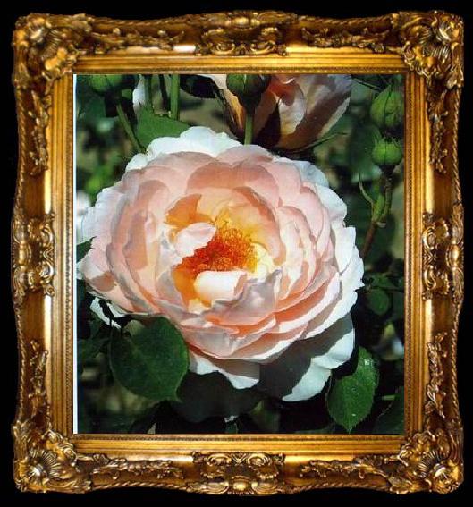 framed  unknow artist Still life floral, all kinds of reality flowers oil painting  350, ta009-2