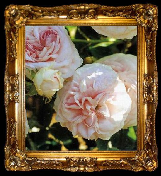 framed  unknow artist Still life floral, all kinds of reality flowers oil painting  312, ta009-2