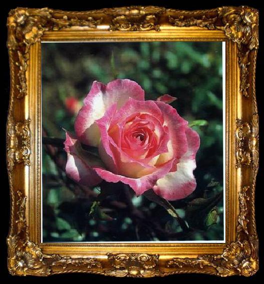 framed  unknow artist Still life floral, all kinds of reality flowers oil painting  136, ta009-2