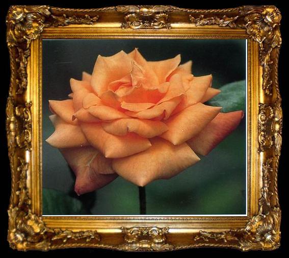 framed  unknow artist Still life floral, all kinds of reality flowers oil painting  221, ta009-2