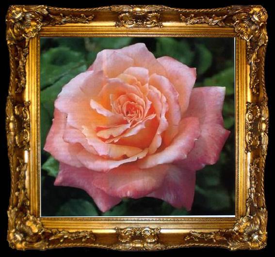 framed  unknow artist Still life floral, all kinds of reality flowers oil painting  210, ta009-2