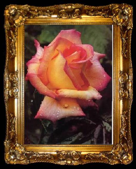 framed  unknow artist Still life floral, all kinds of reality flowers oil painting  123, ta009-2