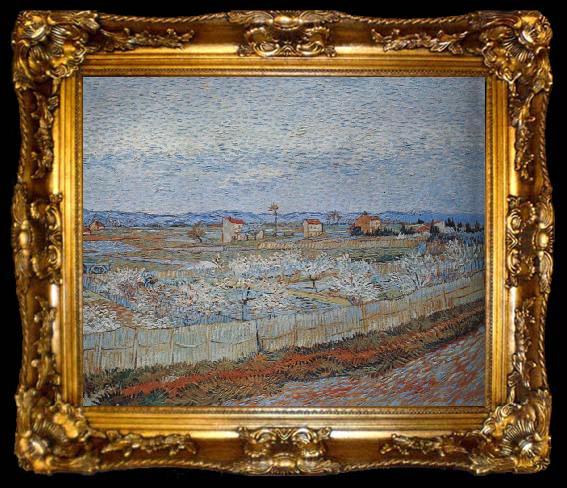 framed  Vincent Van Gogh Peach trees in blossom, ta009-2