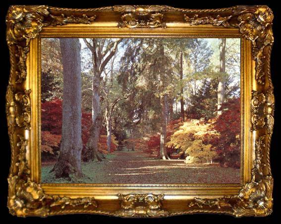 framed  unknow artist Westonbirt Arboretum, ta009-2