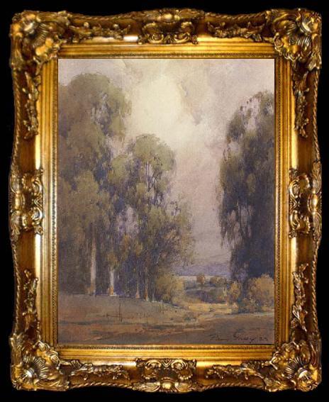 framed  unknow artist Eucalyptus Landscape, ta009-2