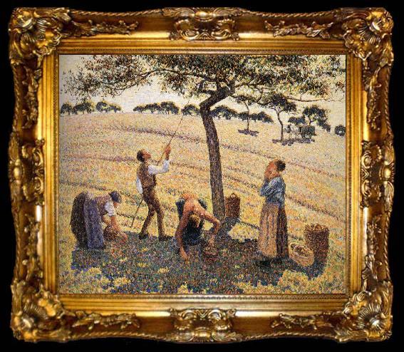 framed  Camille Pissarro Apple picking, ta009-2