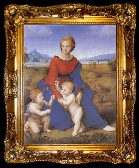 framed  RAFFAELLO Sanzio The virgin mary  on the grass, ta009-2