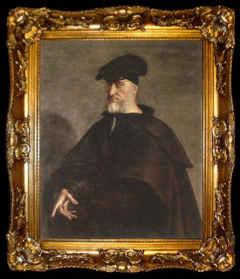 framed  Sebastiano del Piombo portrait of andrea doria, ta009-2