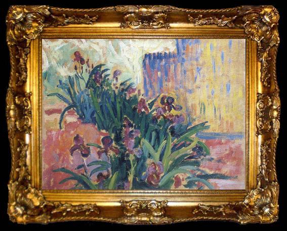 framed  Paul Signac irises, ta009-2