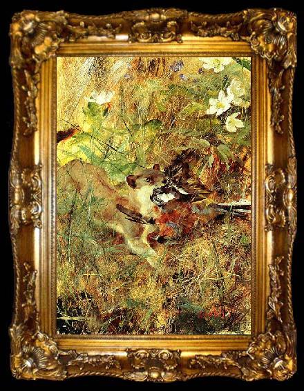 framed  bruno liljefors Weasel with Chaffinch, ta009-2