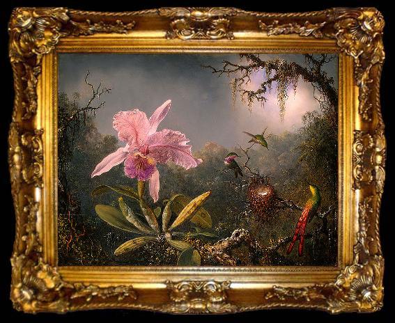framed  Martin Johnson Heade Cattleya Orchid and Three Brazilian Hummingbirds, ta009-2