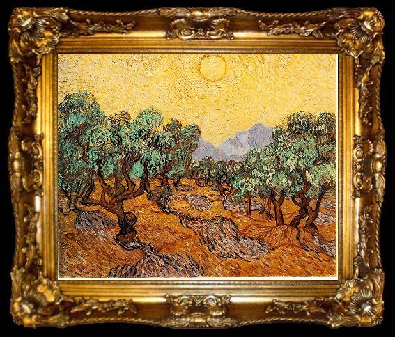 framed  Vincent Van Gogh Olive Trees with Yellow Sky and Sun, ta009-2