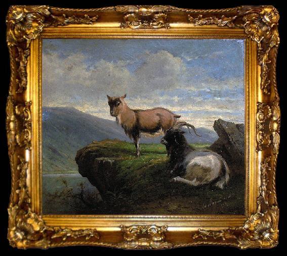 framed  unknow artist Chamois in the mountains, ta009-2