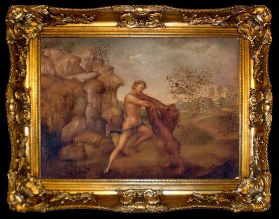 framed  unknow artist Hercules and the Nemean Lion, oil on panel painting attributed to Jacopo Torni, ta009-2