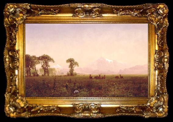 framed  Albert Bierstadt Elk Grazing in the Wind River Country, ta009-2