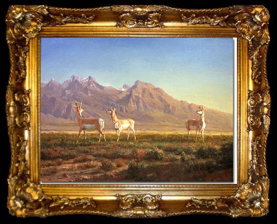 framed  Albert Bierstadt Prong-Horned Antelope, ta009-2