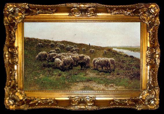 framed  Mauve, Anton Sheep on a dyke, ta009-2