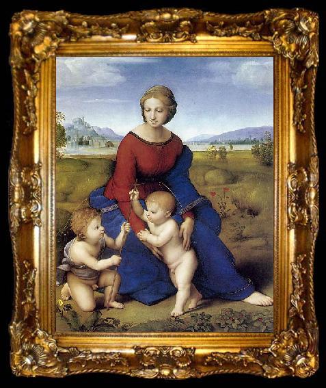 framed  RAFFAELLO Sanzio Madonna of Belvedere, ta009-2