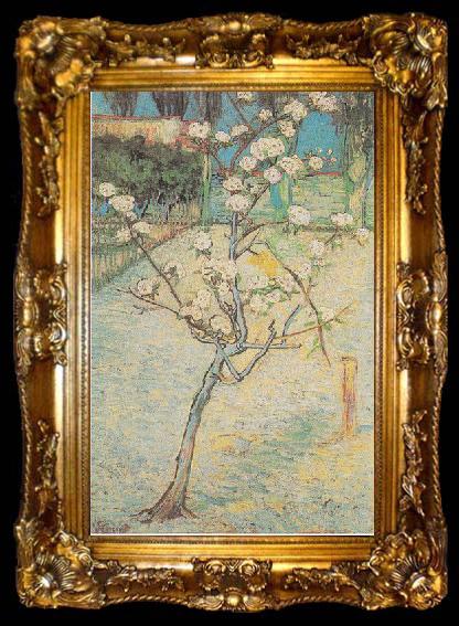 framed  Vincent Van Gogh Flowering Pear-Tree, ta009-2