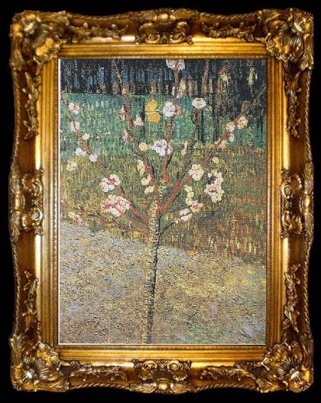 framed  Vincent Van Gogh Flowering almond tree, ta009-2