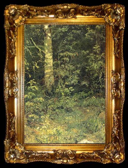framed  Ivan Shishkin Birch and Pocks, ta009-2