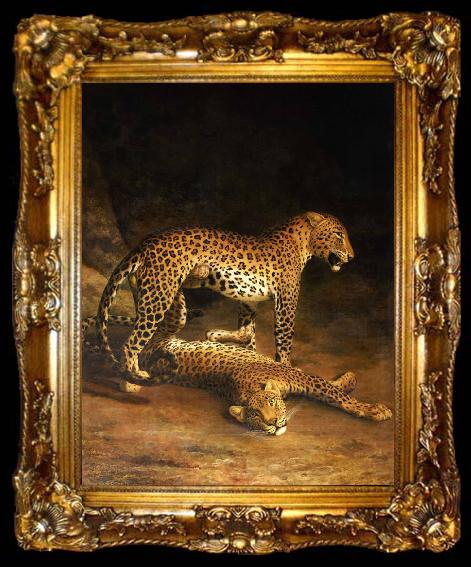 framed  Jacques-Laurent Agasse Two Leopards Lying in the Exeter, ta009-2