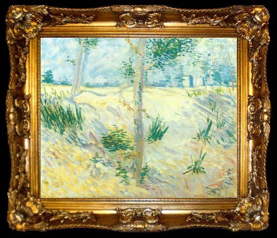 framed  Vincent Van Gogh Trees on a slope, ta009-2
