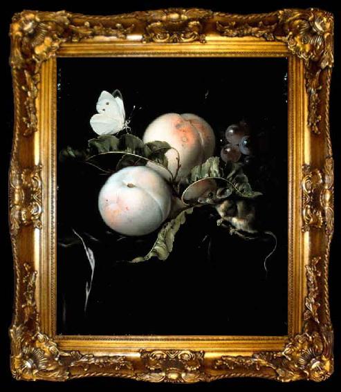 framed  Willem van Aelst Fruit Still Life with a Mouse, ta009-2