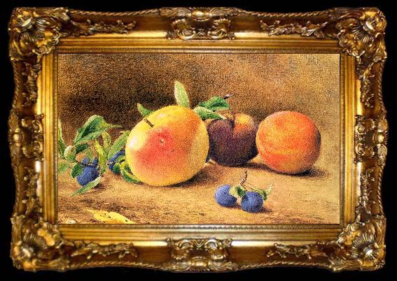 framed  Hill, John William Study of Fruit, ta009-2