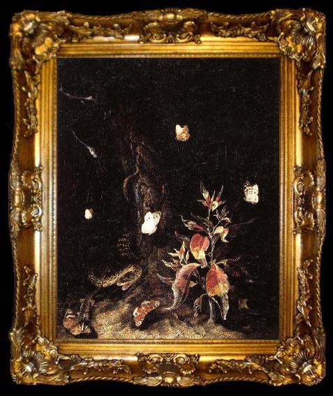 framed  SCHRIECK, Otto Marseus van Reptiles,Butterflies,and Plants at the Base of a Tree, ta009-2
