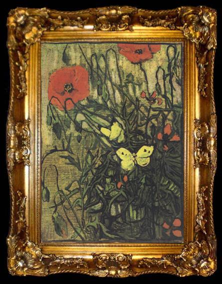 framed  Vincent Van Gogh Poppies and Butterflies (nn04), ta009-2