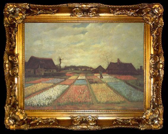 framed  Vincent Van Gogh Bulb Fields (nn04), ta009-2