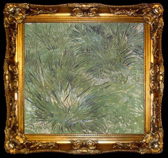 framed  Vincent Van Gogh Clumps of Grass (nn04), ta009-2