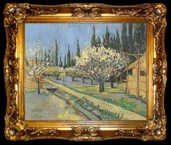 framed  Vincent Van Gogh Orchard in Blossom,Bordered by Cypresses (nn04), ta009-2