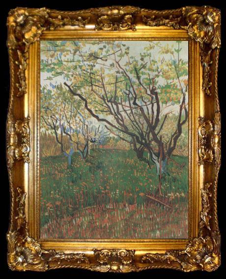 framed  Vincent Van Gogh Orchard in Blosson (nn04), ta009-2