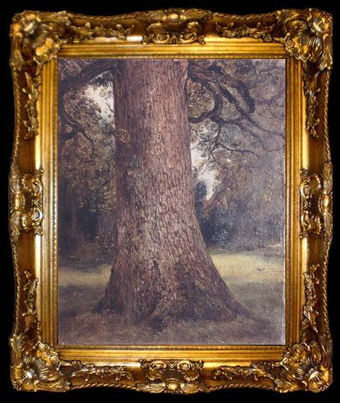 framed  John Constable Study of the trunk of an elm tree, ta009-2