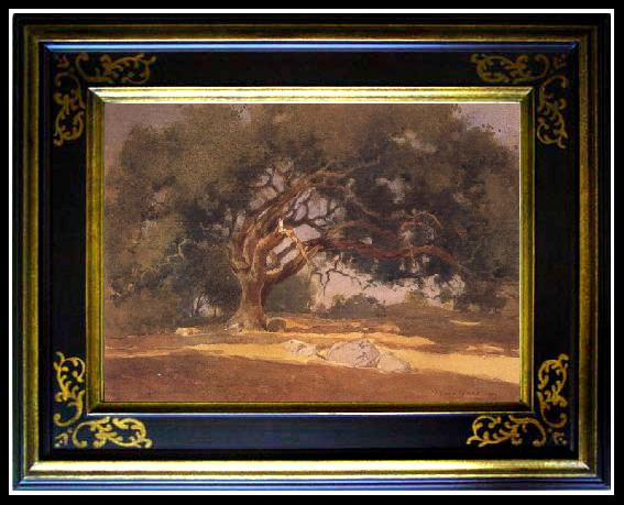 framed  unknow artist Oak Canopy, Ta083