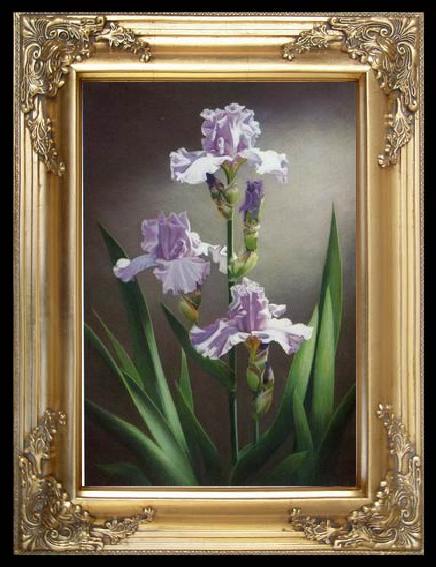framed  unknow artist Still life floral, all kinds of reality flowers oil painting 24, TA218